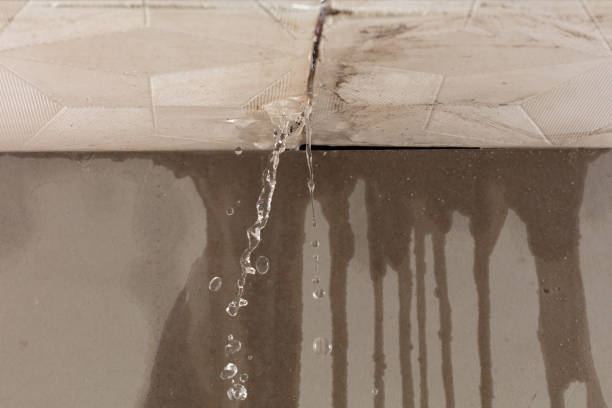 Professional Water Damage Repair technician working in Lisbon, ND